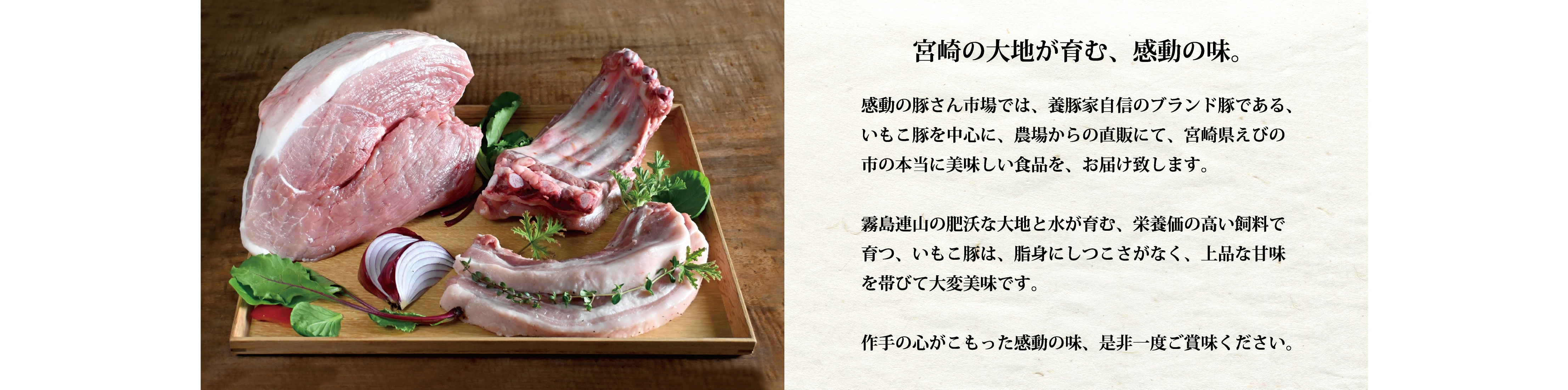 パソコン用の画像